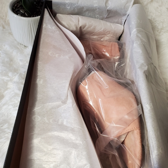 Coach Rosa Sandals Petal Size 10 New - Picture 7 of 8